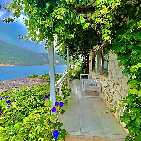 Ξενοδοχείο Korsanada 3*